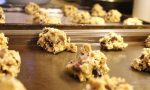 raw_cookie_dough_salmonella_ecoli_food_safety_illness