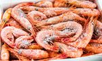 shrimp_seafood_food_safety_illness