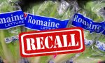 food_recall_safety