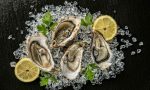 shellfish_oysers_norovirus_ecoli_vibrio_food_safety_illness