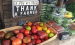 farmers-market-food-safety8